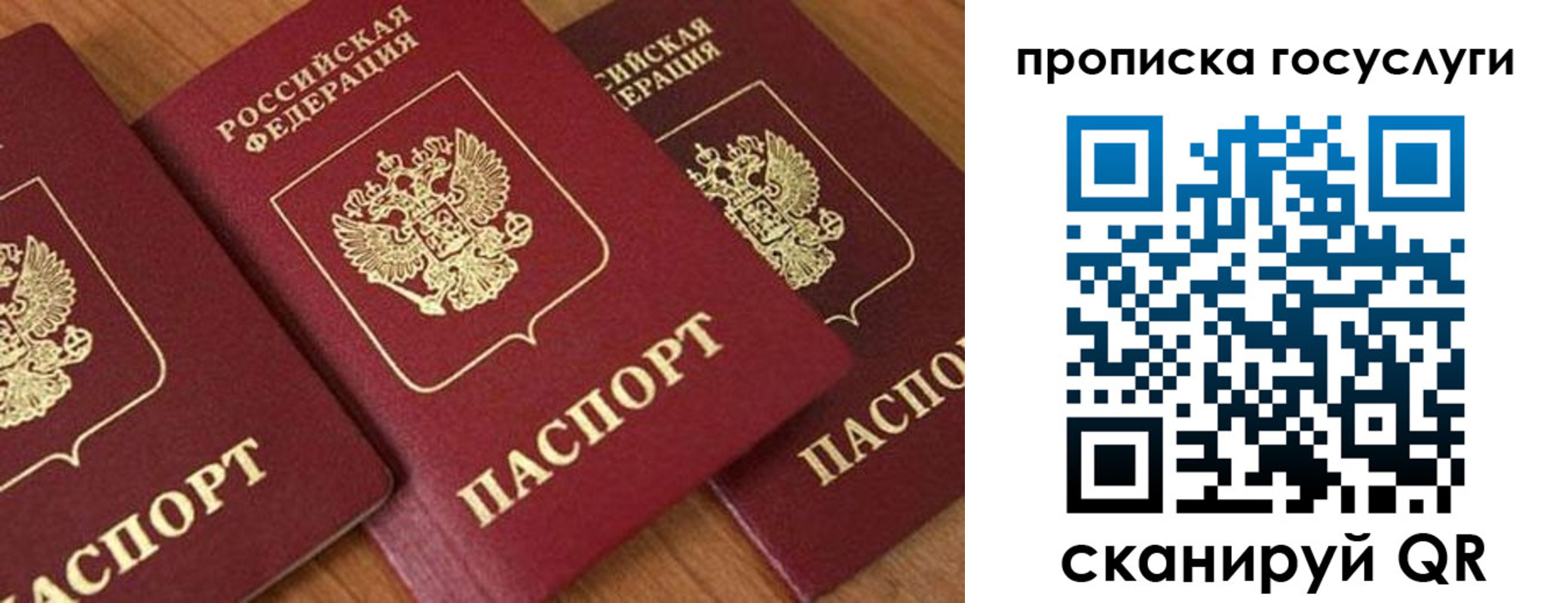 временная прописка в Михайловке